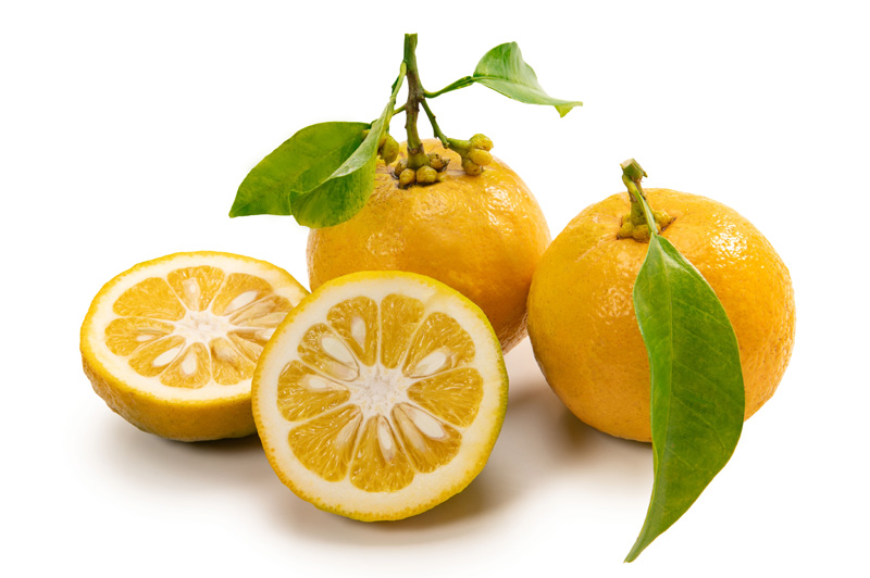 Bitterorange